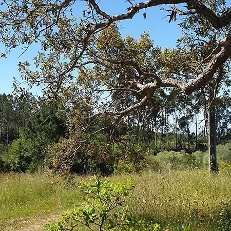 Monte Da Xara *