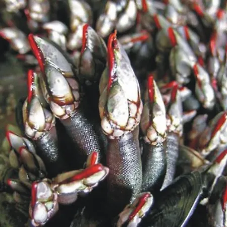 Holiday home Monte Da Xara