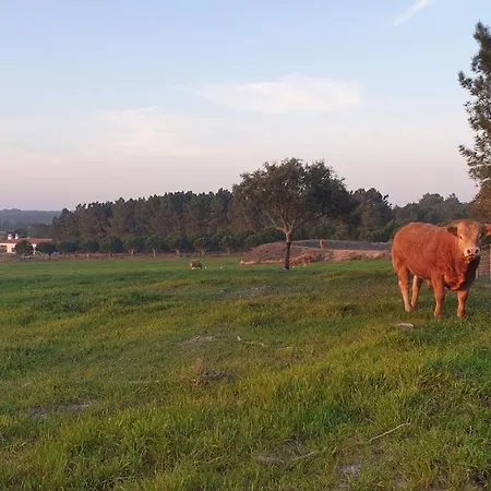 Monte Da Xara Feriehus *