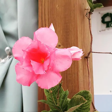 Monte Da Xara 度假居 阿尔热祖尔