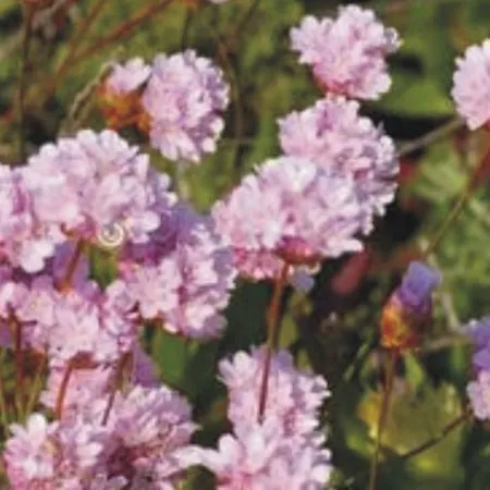 度假居 Monte Da Xara 阿尔热祖尔