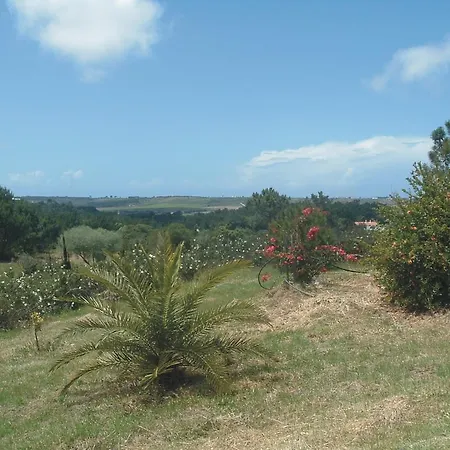 度假居 Monte Da Xara *