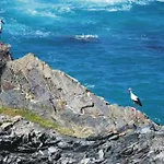 Monte Da Xara